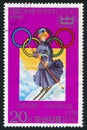 Winter Olympic Games