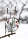 Winter outdoor decoration made of ice with frozen red rose hip and needles twigs Royalty Free Stock Photo