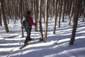 Winter Outdoor Recreation - Canada