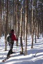 Winter Outdoor Recreation - Canada Royalty Free Stock Photo