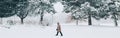 Winter outdoor scene. Man walking under snow in park. Heavy snowfall snowstorm. Snow blizzard, bad weather conditions. Beauty in