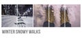 Winter outdoor walk concept collage banner background with gorgeous forest city parks photos f