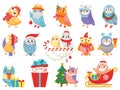 Winter owl. Cute christmas birds, owls in scarf and hat and bird mascot vector illustration set Royalty Free Stock Photo
