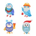 Winter owl. Funny cartoon birds with christmas attributes. Animals in xmas wreath, holiday socks holding tree ball, gift