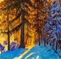 Dawn in the winter forest. Sunrise of a warm yellow sun in a cold blue winter forest. Winter landscape. Large Christmas trees. Pos Royalty Free Stock Photo