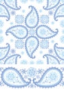 Winter Paisley seamless pattern and border set