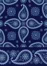 Winter Paisley seamless pattern and border