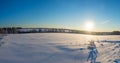 Winter pano with sunbeams, forest Royalty Free Stock Photo