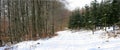 Winter panorama Royalty Free Stock Photo