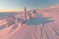 Winter panorama of fir trees covered with white snow with dolomitic mountain background, Dolomites, Italy