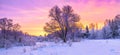 winter panorama landscape with forest, trees covered snow and sunrise. Royalty Free Stock Photo