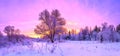 winter panorama landscape with forest, trees covered snow and sunrise.