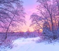 winter panorama landscape with forest, trees covered snow and sunrise Royalty Free Stock Photo