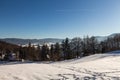 Winter panorama landscape with forest, trees covered snow and sunrise. winterly morning of a new day. winter landscape with sunset Royalty Free Stock Photo