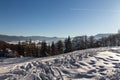 Winter panorama landscape with forest, trees covered snow and sunrise. winterly morning of a new day. winter landscape with sunset Royalty Free Stock Photo