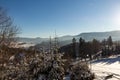 Winter panorama landscape with forest, trees covered snow and sunrise. winterly morning of a new day. winter landscape with sunset Royalty Free Stock Photo