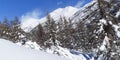 Winter panorama mountain landscape Forest trees covered with snow in alps Royalty Free Stock Photo
