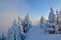 Winter panorama on mountain