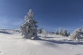 Winter Panorama of Vitosha Mountain, Bulgaria Royalty Free Stock Photo