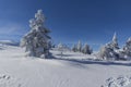 Winter Panorama of Vitosha Mountain, Bulgaria Royalty Free Stock Photo