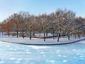 Winter park Royalty Free Stock Photo