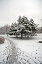 Landscape covered with snow from Tineretului park 