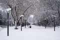 Winter park alley with snowy park benches and street lamp post