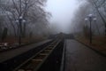 Winter Park, alley in thick fog Royalty Free Stock Photo