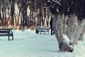 Winter Park bench Alley