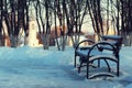 Winter Park bench Alley