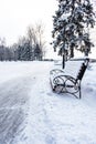 Winter park bench and trees covered with snow. Landscape.Alley on a snowy morning. Snow alley in the winter forest. Snow-covered Royalty Free Stock Photo