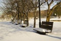 Winter park bench untouched snow incity Royalty Free Stock Photo