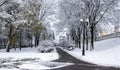 Winter park, winter city landscape. Snow, city, lights and trees in a city park Royalty Free Stock Photo