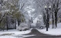 Winter park, winter city landscape. Snow, city, lights and trees in a city park Royalty Free Stock Photo