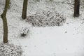 Winter park covered with fresh white snow Royalty Free Stock Photo