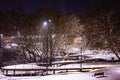 Winter park in the evening covered with snow with a row of lamps Royalty Free Stock Photo