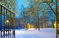 Winter park with gateway by night Royalty Free Stock Photo