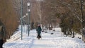 Winter park landscape. People walk in winter park