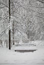Winter park landscape after snowstorm. Snow covered bench and trees, gray day light. Royalty Free Stock Photo