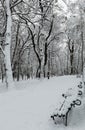 Winter park in Lviv city, Ukraine Royalty Free Stock Photo