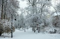 Winter park in Lviv city, Ukraine Royalty Free Stock Photo