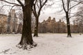 Winter in the Park - New York