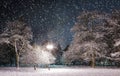 Winter park at night Royalty Free Stock Photo
