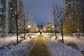 Winter park at night in Moscow, Russia Royalty Free Stock Photo