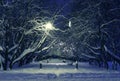 Winter park night scene Royalty Free Stock Photo