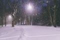 Winter park at night. Snow in a frozen dark park with snowflakes. Snowfall at night. Snow storm Royalty Free Stock Photo