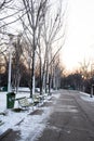 Winter in the park, Parcul Tineretului in Bucharest Royalty Free Stock Photo