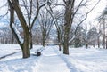 Path or pathway in the park with snow trees and wooden bench in the winter season and sunlight Royalty Free Stock Photo