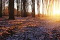 Winter park road covered with snow at sunset sun shine soft Royalty Free Stock Photo