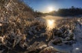 Winter park scene. Dry reed plants, frozen pond, blue ice, white snow, ray of cold sun.